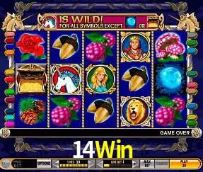 Roulette Table 14Win